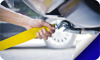 abonament standard image