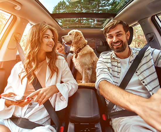 image abonament vacanta